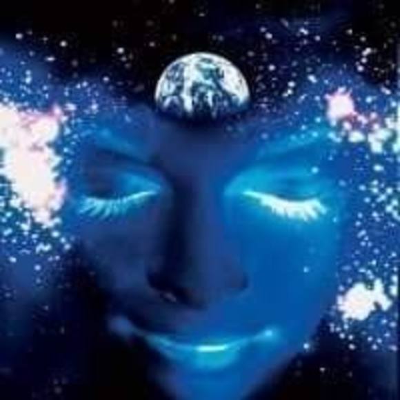 Meet your Posher, Safari - Picture 1 of 1